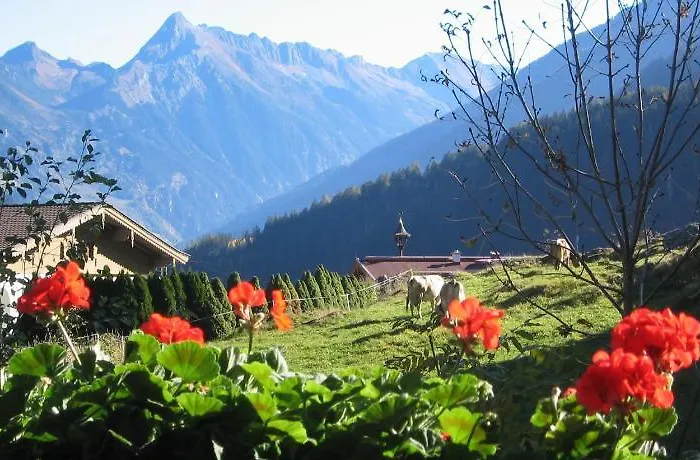 Vendégház Glockenstuhl 3*